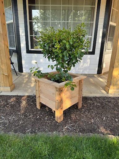 Natural Cedar Planter