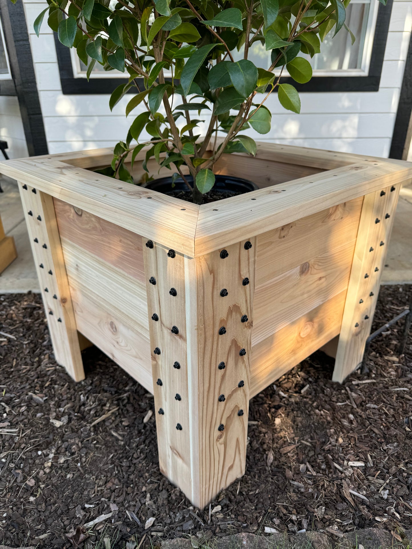 Large Planter box with sheet metal screws